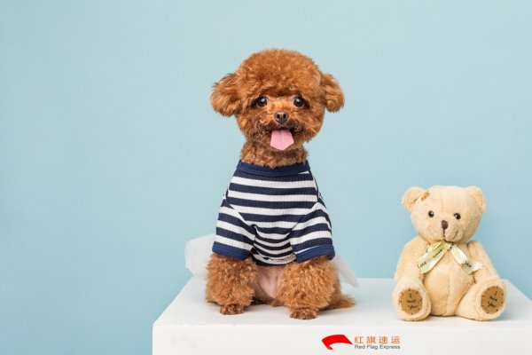 疫情期間香港商品如何轉運到四川攀枝花呢？