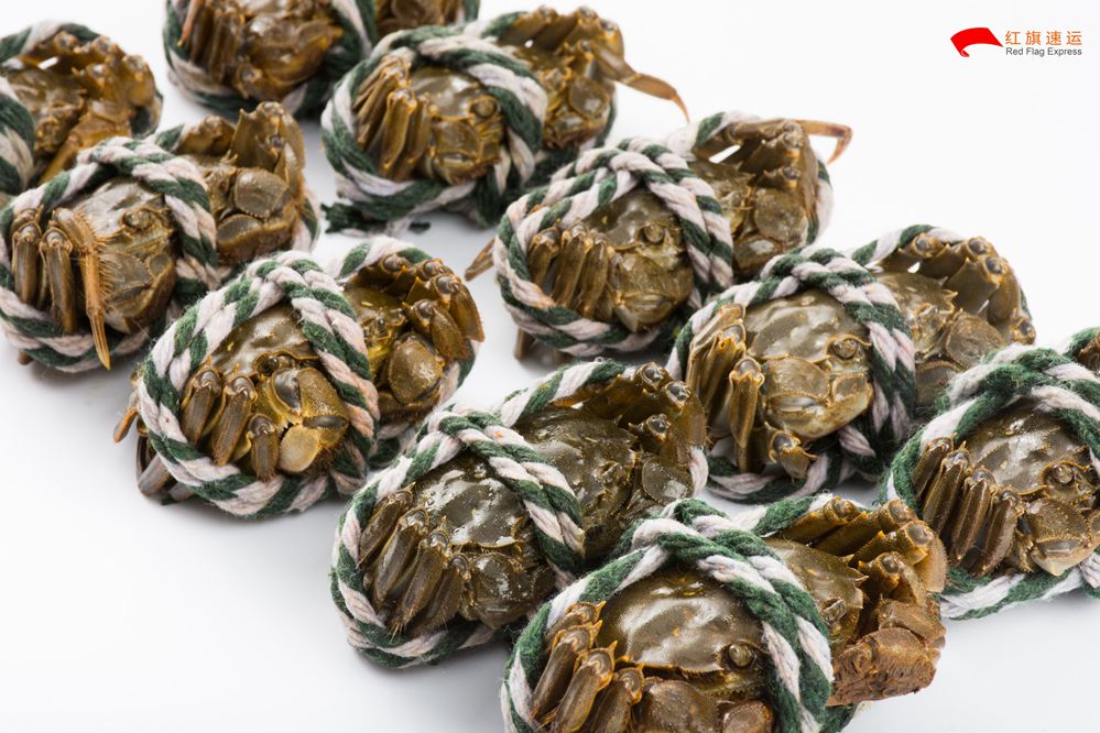 美國空運專線 美國空運專線